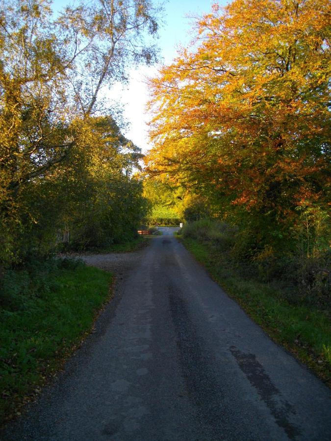 The Laurels Bed & Breakfast Lodge Omagh Bagian luar foto