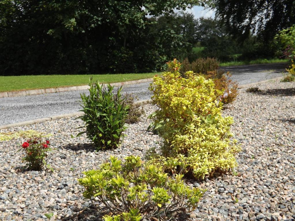 The Laurels Bed & Breakfast Lodge Omagh Bagian luar foto